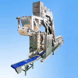 HC-450大背封碗式翻斗包装机